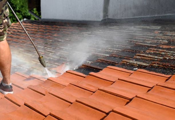 Best Power Washing Near Me  in Central City, NE