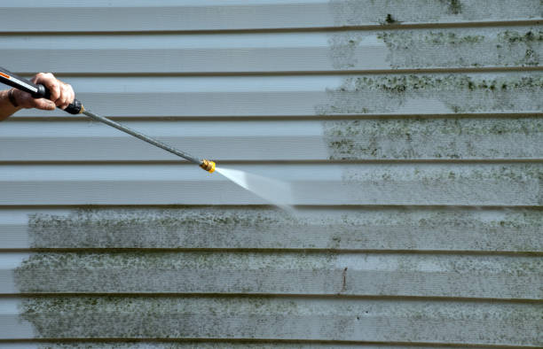 Best Pressure Washing Services for Businesses  in Central City, NE